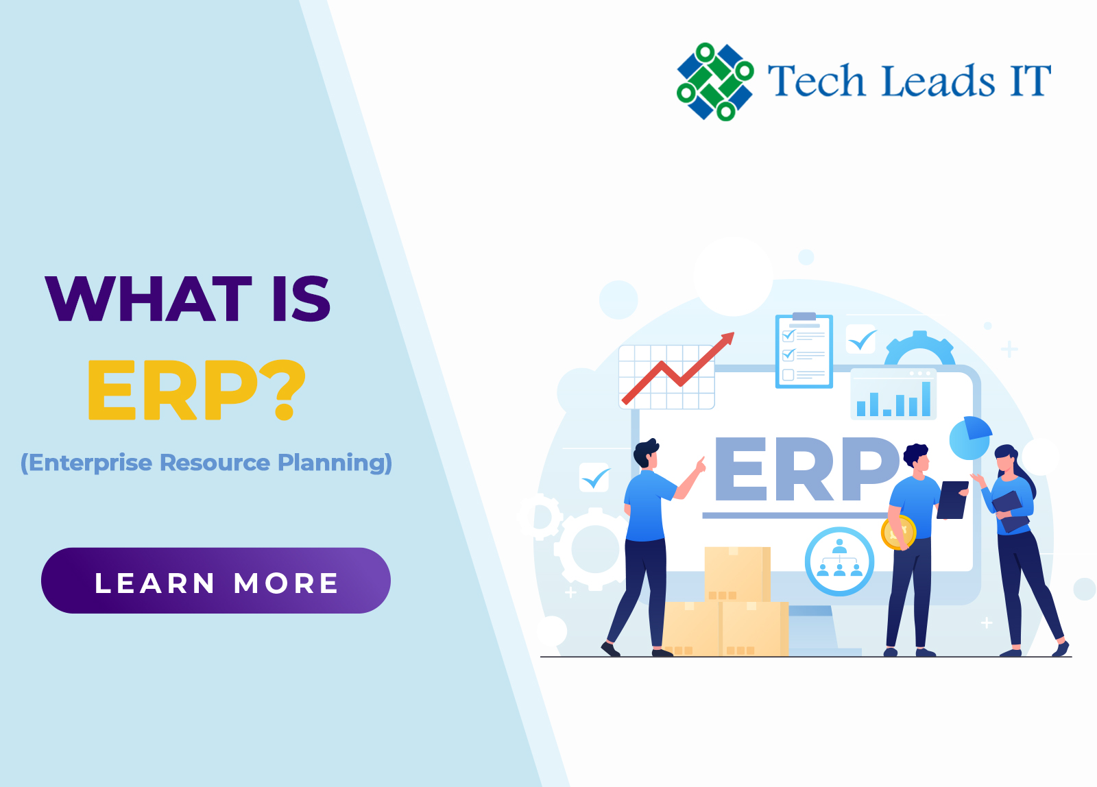 What Is ERP?